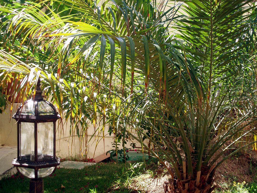 Alsol Nogal (adults Only) Appartamento