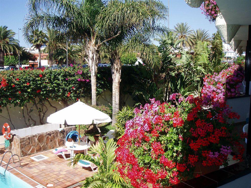 Alsol Nogal (adults Only) Playa del Ingles (Gran Canaria)