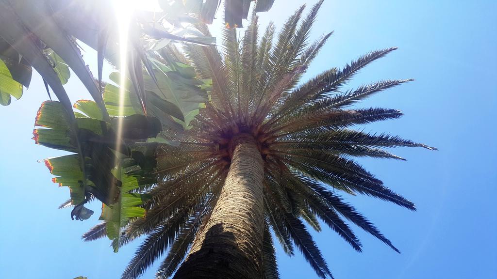 Alsol Nogal (adults Only) Apartment Playa del Ingles (Gran Canaria)