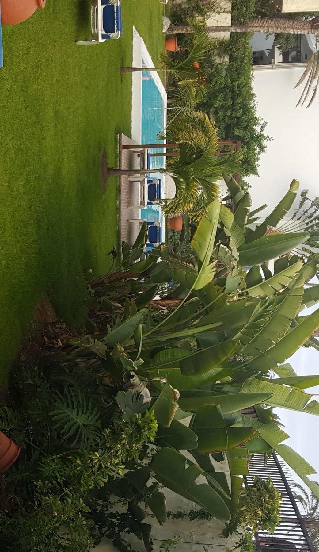 Alsol Nogal (adults Only) * Playa del Ingles (Gran Canaria)