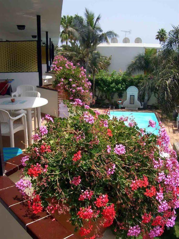 Apartment Alsol Nogal (adults Only) Playa del Ingles (Gran Canaria)
